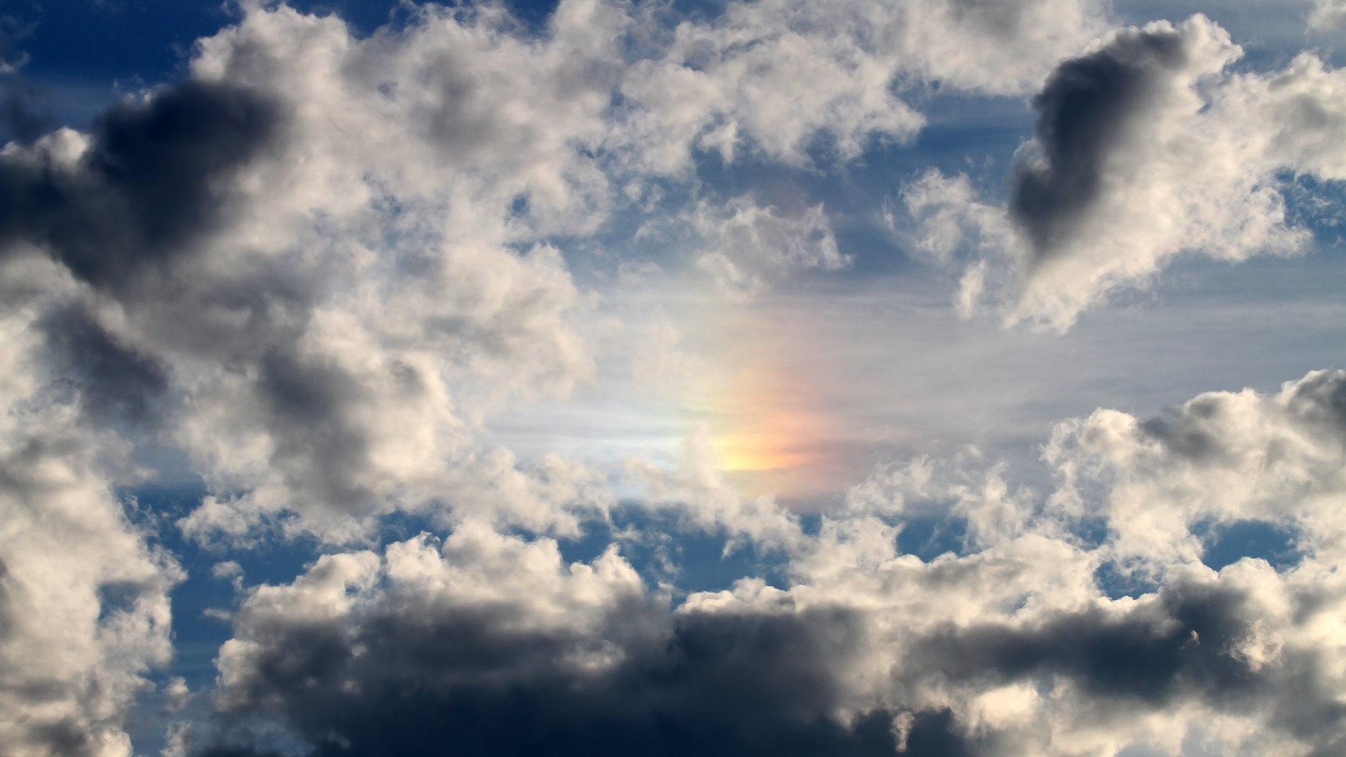 清秀面庞，钢铁之心，欧冠之夜见证帕尔默的硬仗王冠